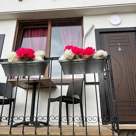 Bravo Apartment *